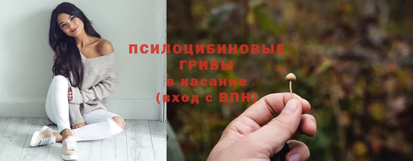прущие грибы Алексин