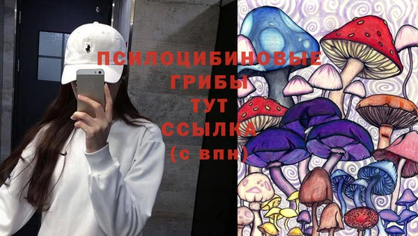 стаф Абинск