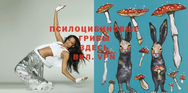 прущие грибы Алексин